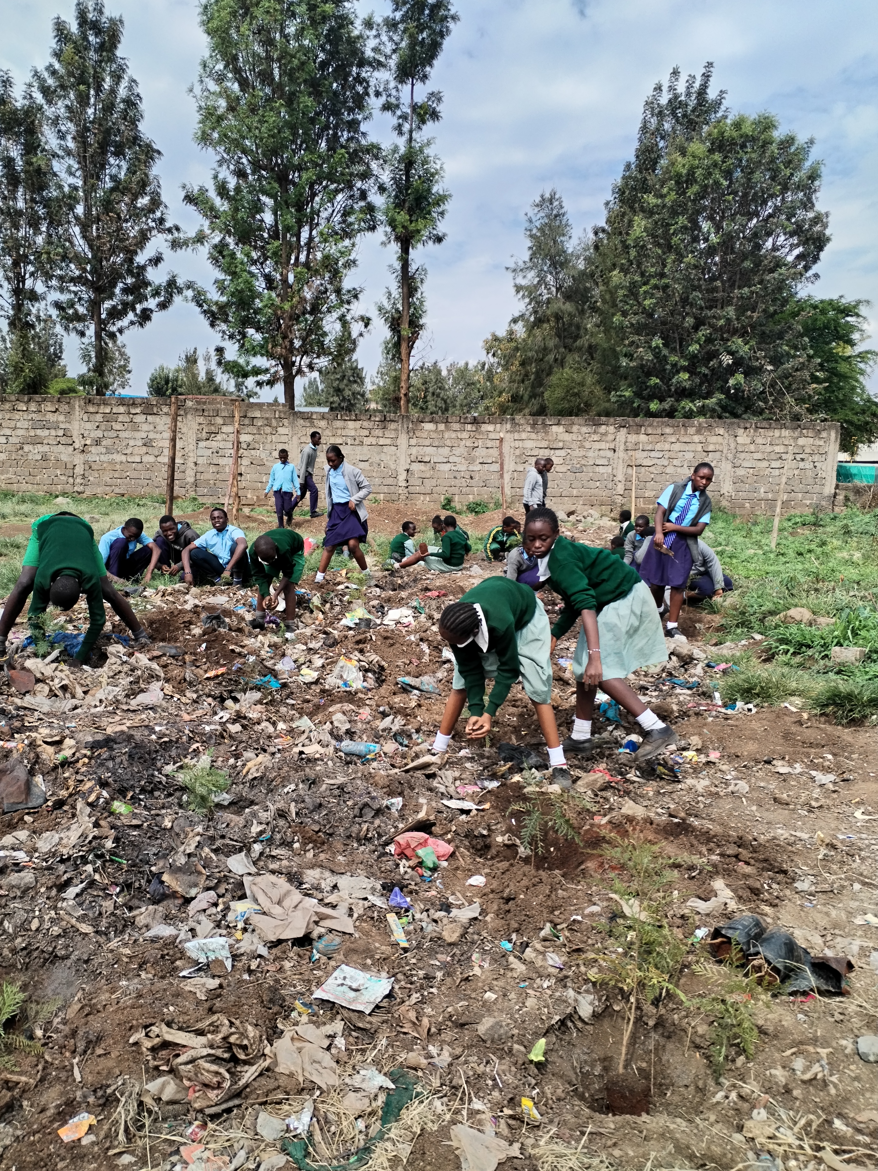 Environmental Cleanup